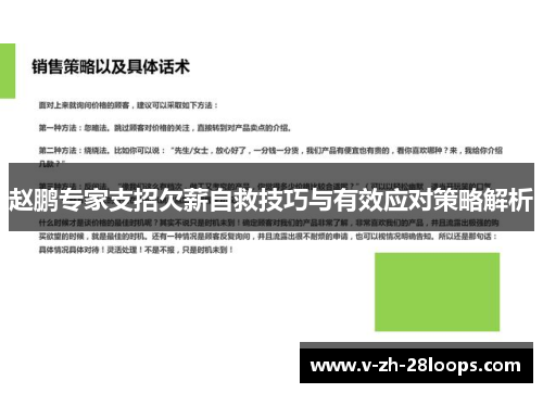 赵鹏专家支招欠薪自救技巧与有效应对策略解析 赵鹏专家支招欠薪自救技巧与有效应对策略解析