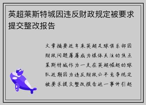 英超莱斯特城因违反财政规定被要求提交整改报告