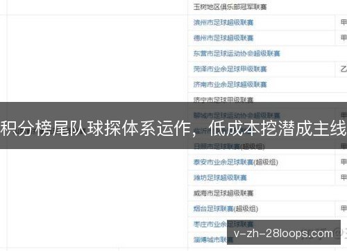 积分榜尾队球探体系运作,低成本挖潜成主线 积分榜尾队球探体系运作,低成本挖潜成主线